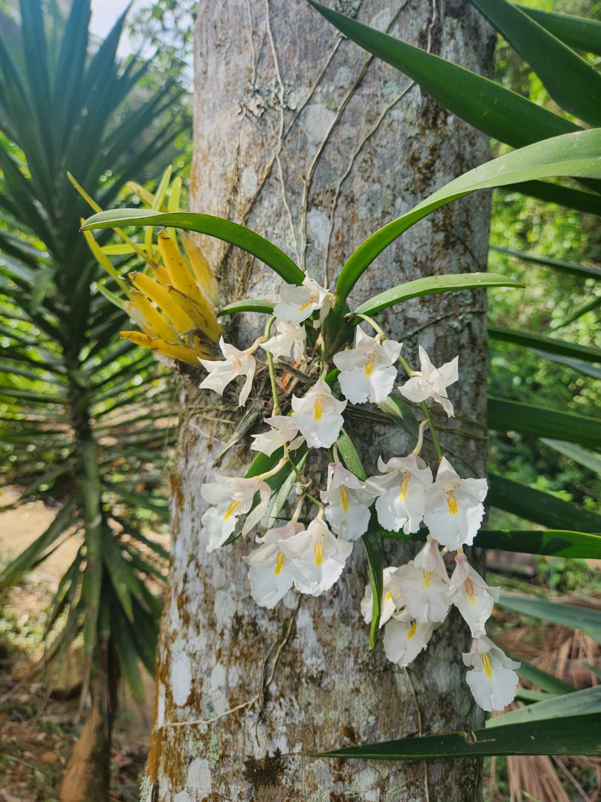 WhatsApp Image 2025-04-24 at 10.15.05 (1)