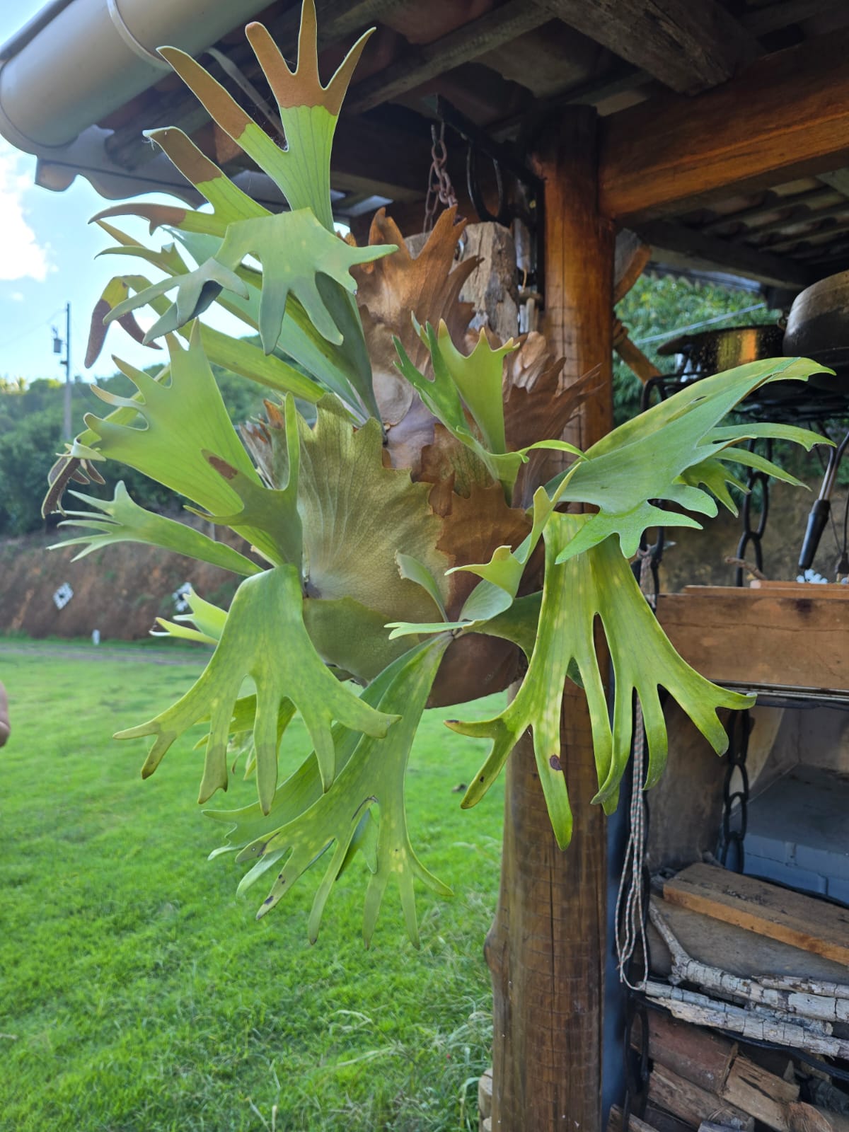 WhatsApp Image 2025-04-24 at 10.15.05