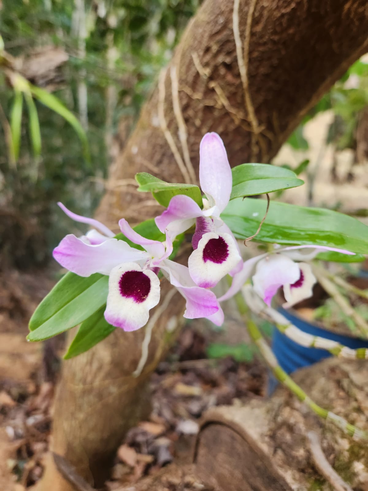 WhatsApp Image 2025-04-24 at 10.15.06